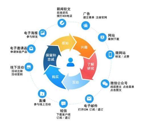 市场营销与网络文化经营 互联网时代的品牌与用户共生之道